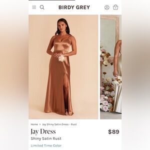 Birdy Grey Satin Maxi Dress in Rust